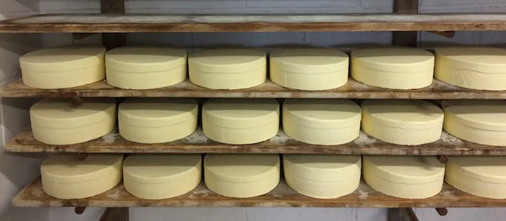 Westcombe Dairy and White Lake Cheese, Two of Our Cheesemaking Neighbours