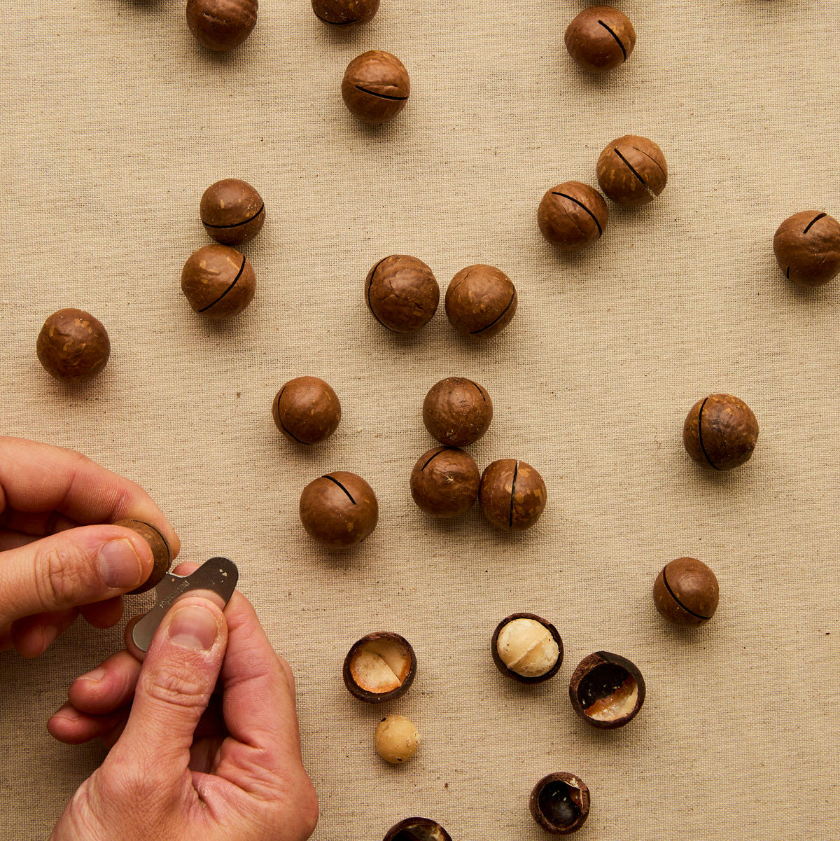 Nutworks Roast In Shell Macadamia Nuts (Salted)