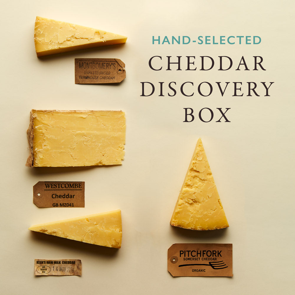 The Cheddar Discovery Box