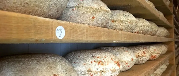 Cheese making: A Different Vintage Every Day