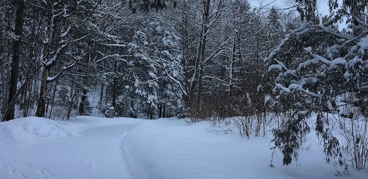 Our Cheese Care Manager spends a week in Vermont