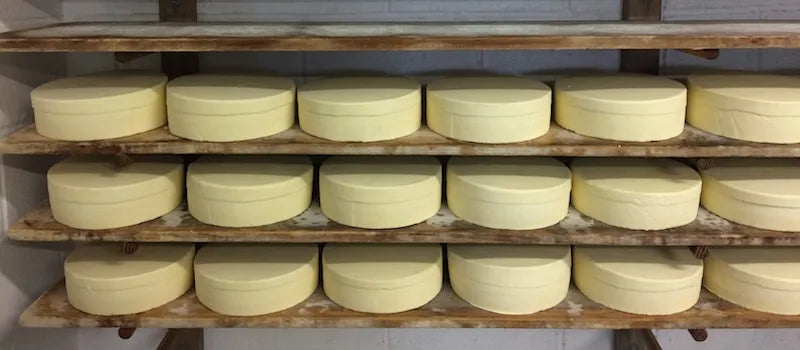 Westcombe Dairy and White Lake Cheese, Two of Our Cheesemaking Neighbours
