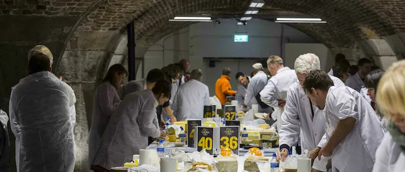 Judges Hooked on Blu di Bufala and Rachel at World Cheese Awards 2017