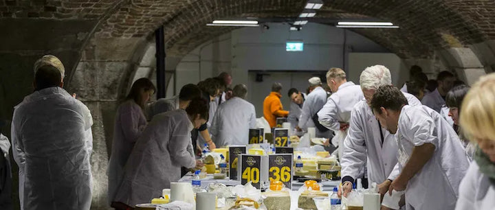Judges Hooked on Blu di Bufala and Rachel at World Cheese Awards 2017