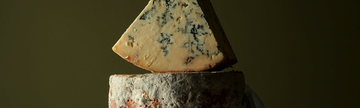 Blue Chechile Blue Cheese | The Fine Cheese Co.