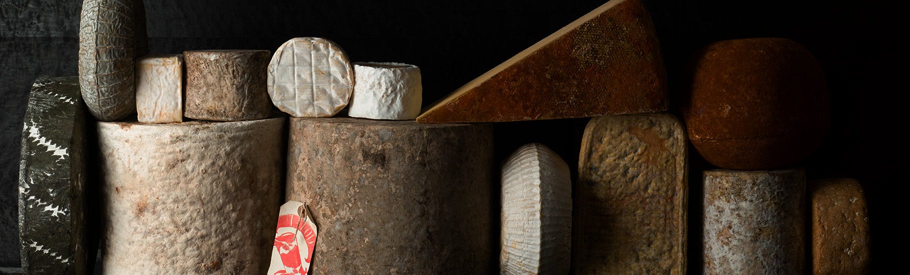 Artisan Cheeses | The Fine Cheese Co.