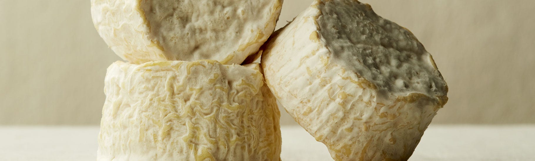 Organic Cheese