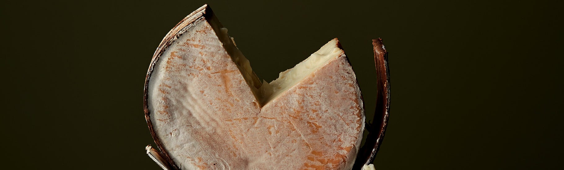 Soft & Washed Rind Cheese