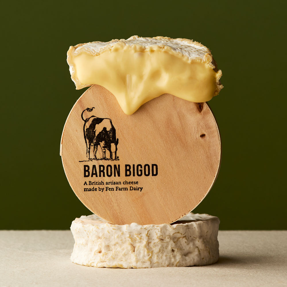 Baron Bigod