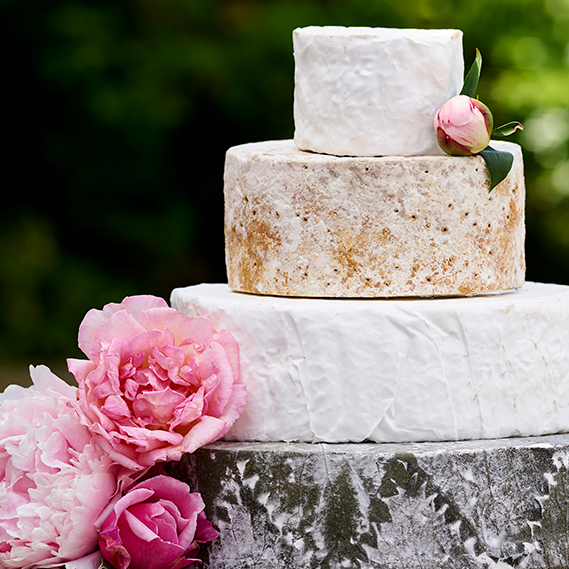 Ava Wedding Cake Tasting Box