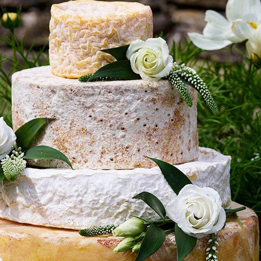 Faye Wedding Cake Tasting Box