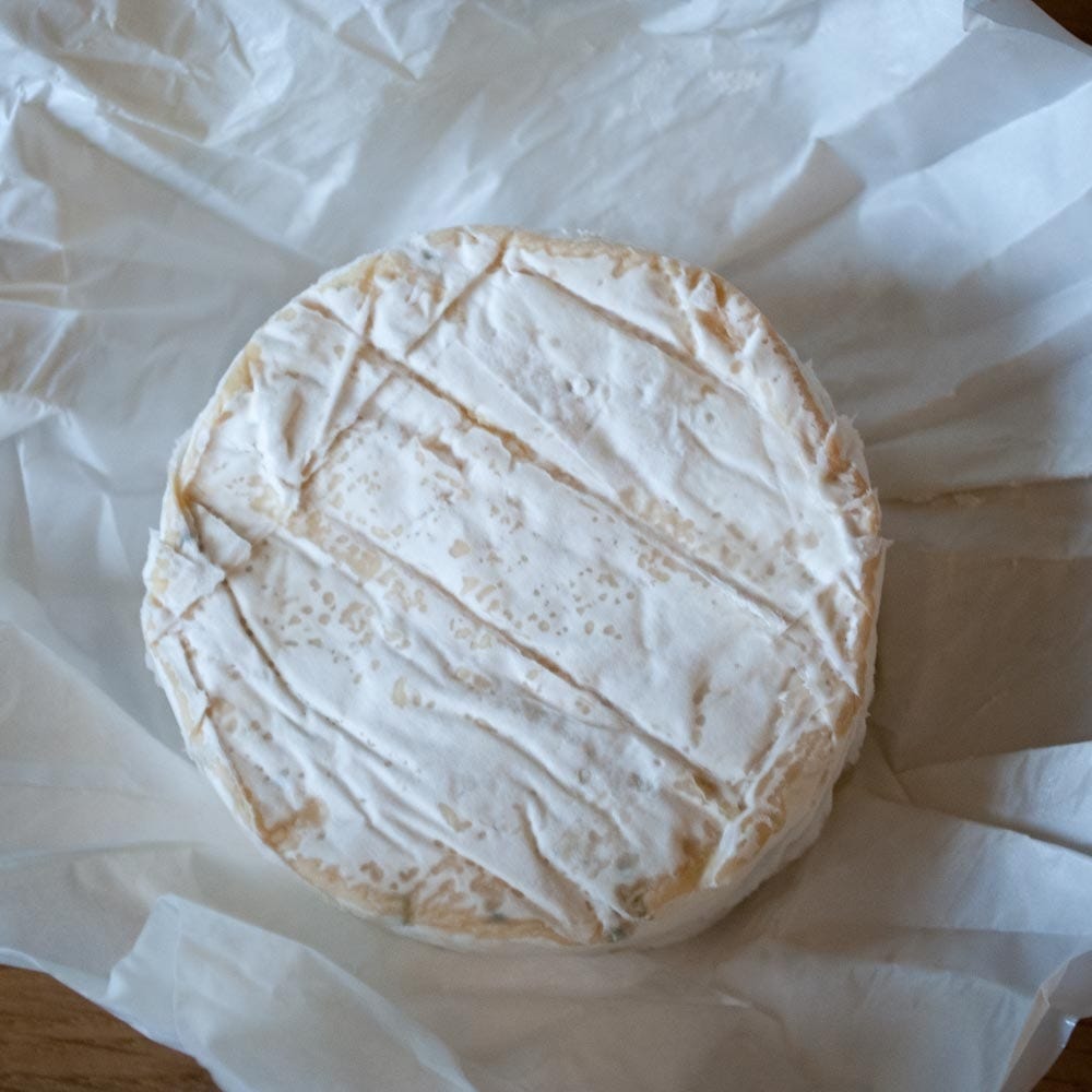 Finback Cheese Finn | Soft British Cheese.