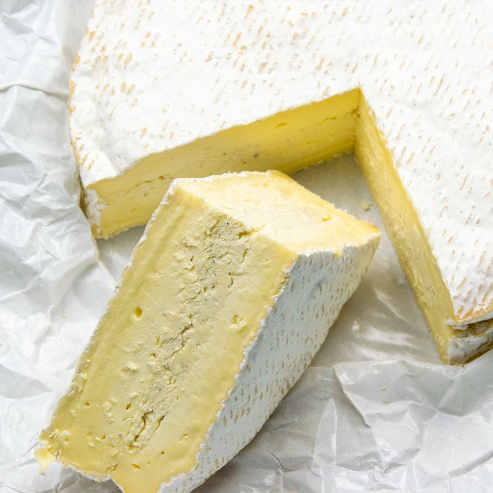 Truffle Baron Bigod