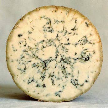Cropwell Bishop Stilton