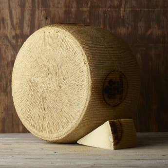 Pecorino Riserva del Fondatore