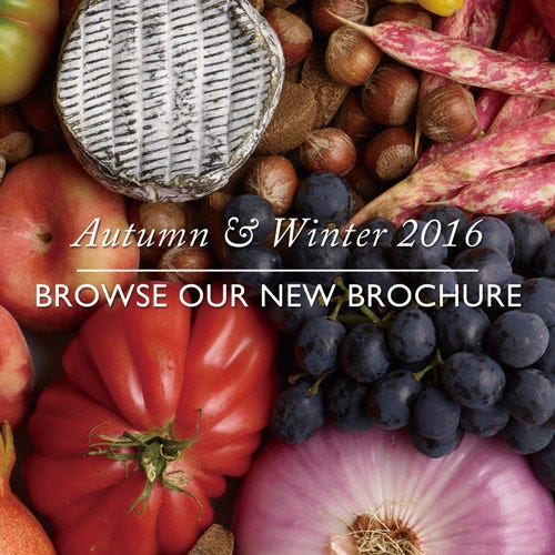 Browse Our New Brochure