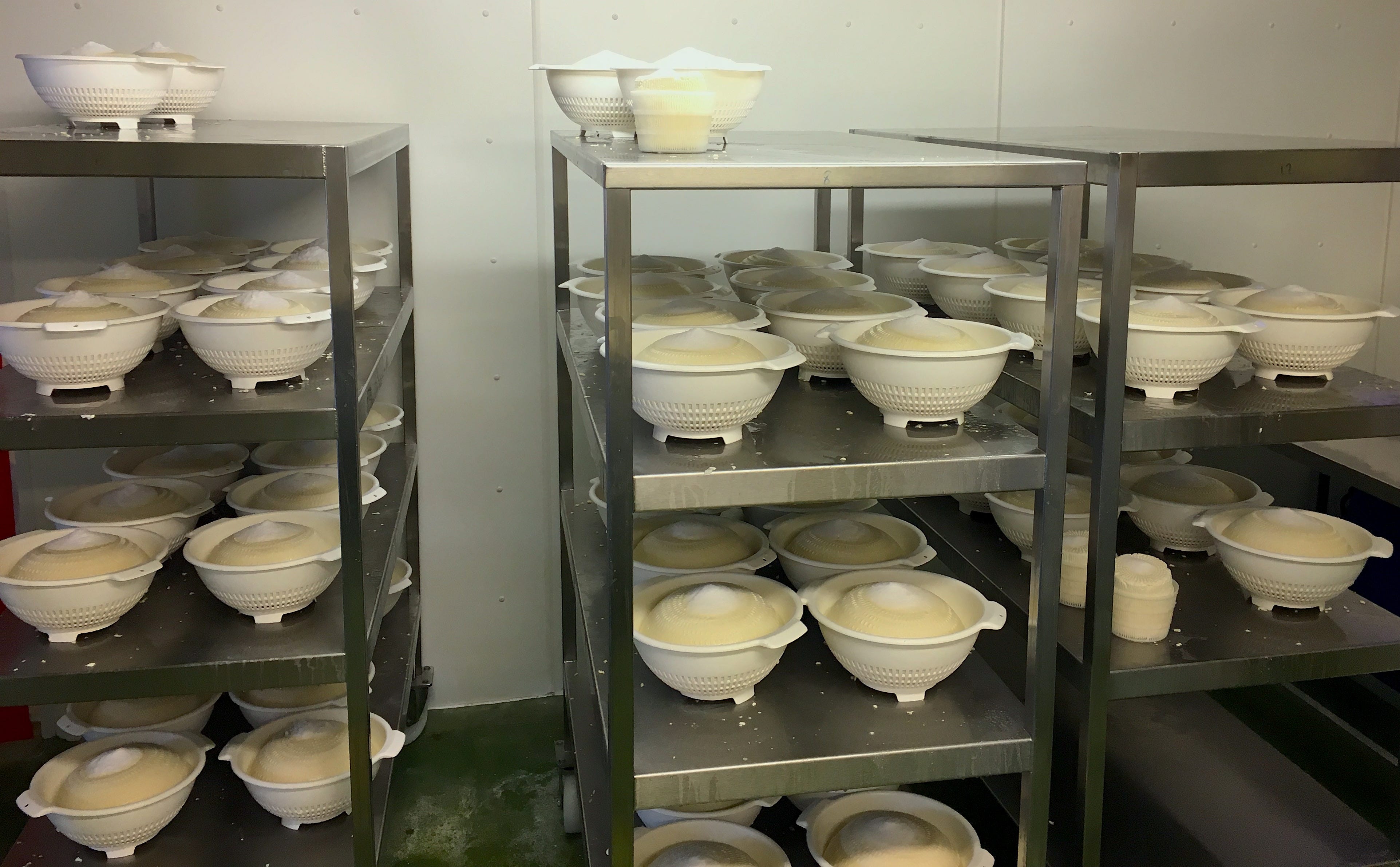 Berkswell cheese making