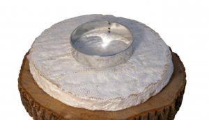 Cheese Wedding Cake Brie 1