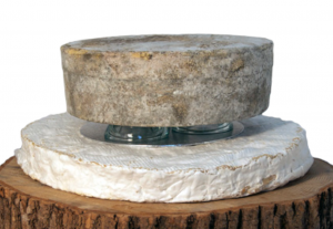 Cheese Wedding Cake Brie 6