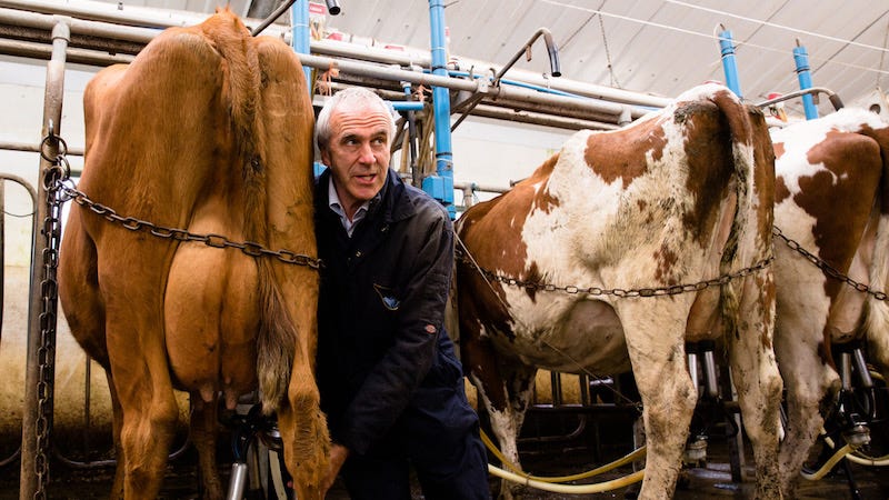 Patrick Holden Milking