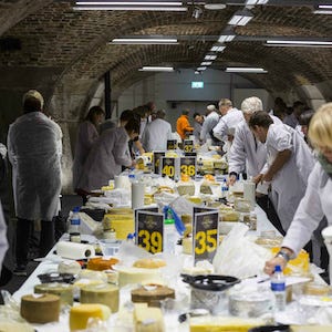 Judges Hooked on Blu di Bufala and Rachel at World Cheese Awards 2017